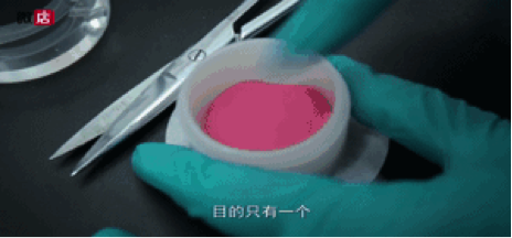 1490325441121792.png 微信图片_20170324111758.png