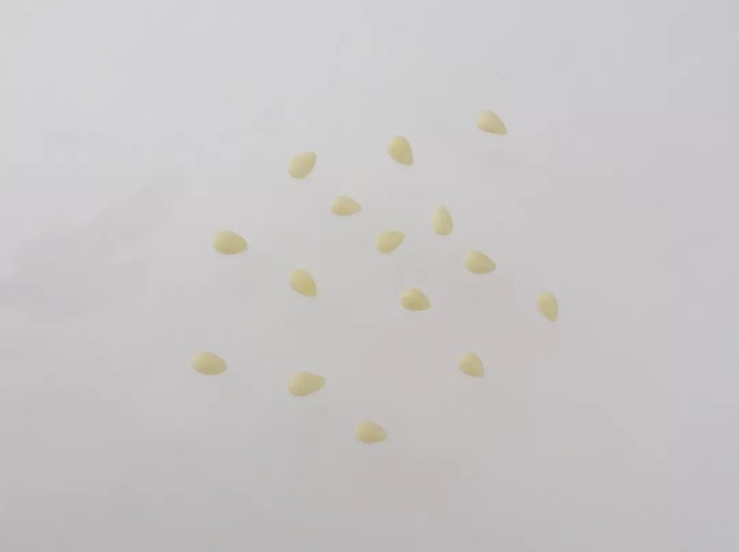 1517194916648876.jpg